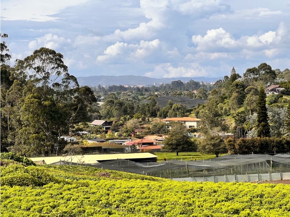 SE VENDE HERMOSO TERRENO (FINCA) PARA DESARROLLO - CARMEN VIB. Oport. — foto 2