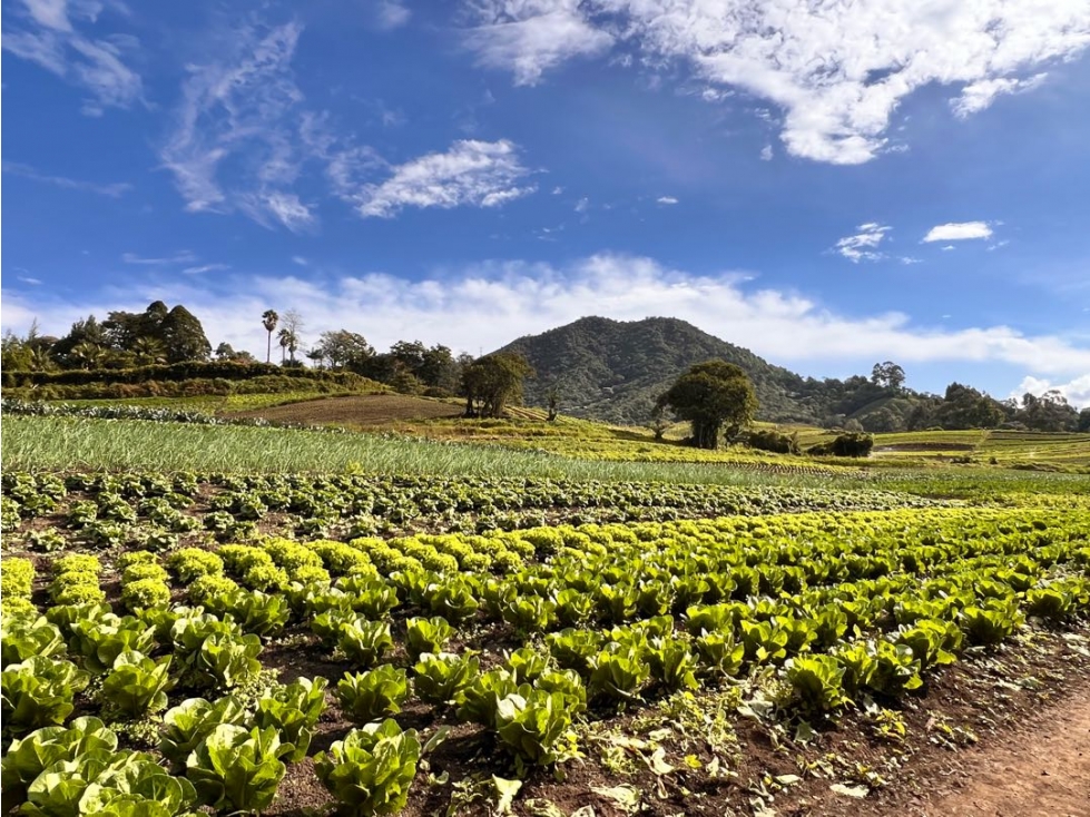SE VENDE HERMOSO TERRENO (FINCA) PARA DESARROLLO - CARMEN VIB. Oport.