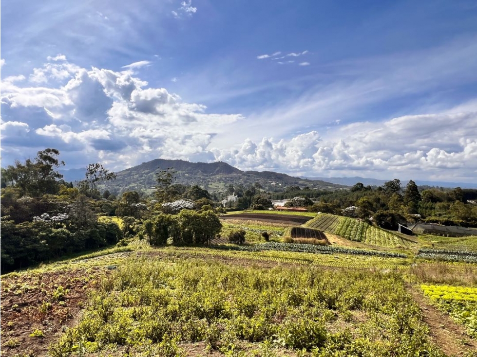 SE VENDE HERMOSO TERRENO (FINCA) PARA DESARROLLO - CARMEN VIB. Oport. — foto 5