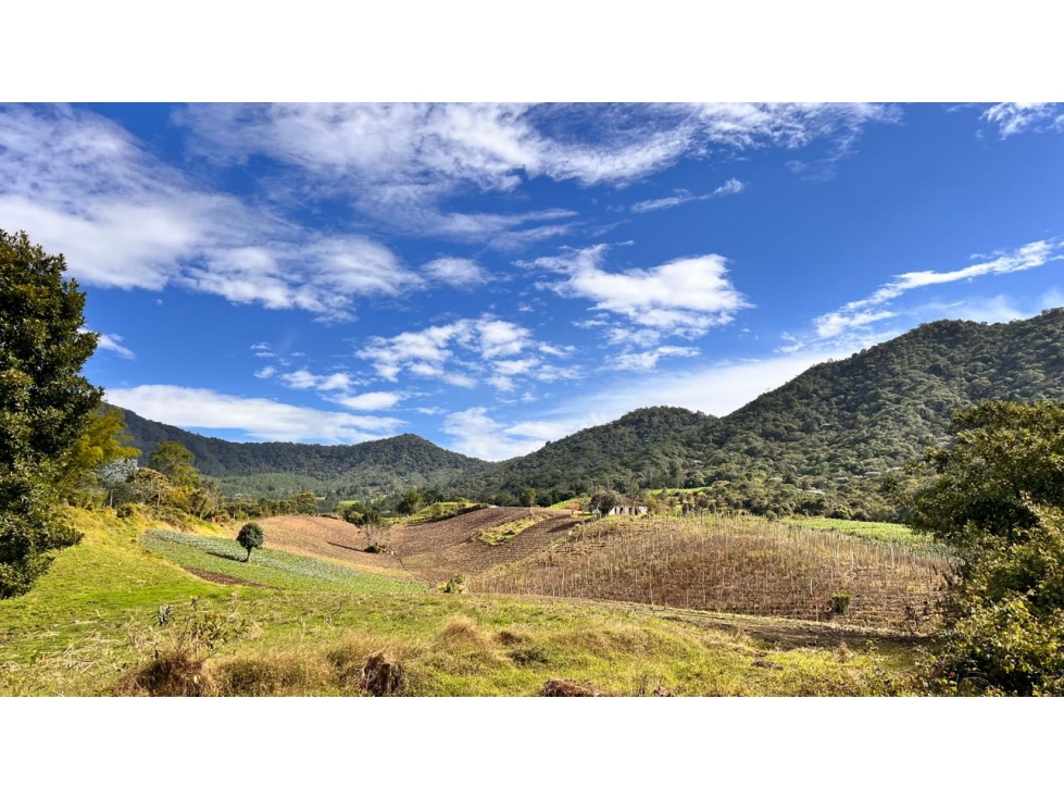 SE VENDE HERMOSO TERRENO (FINCA) PARA DESARROLLO - CARMEN VIB. Oport. — foto 4