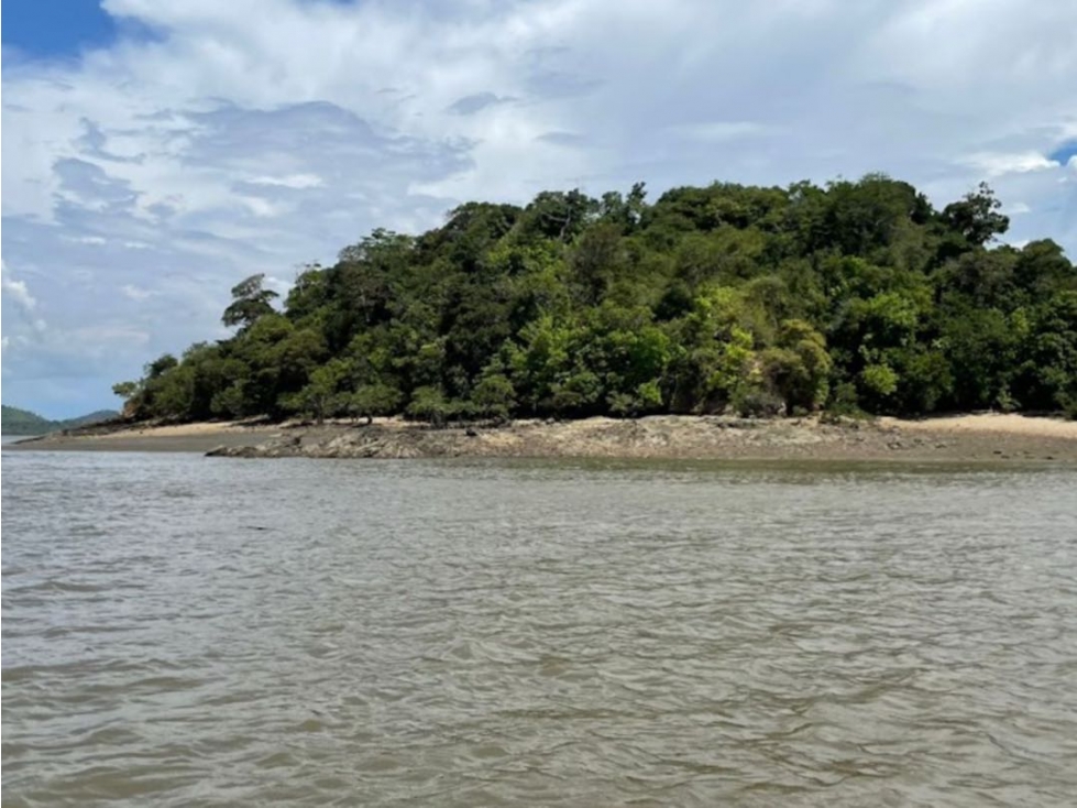 Isla Corozal - Se Vende Isla Privada La Palma, Darien - 2