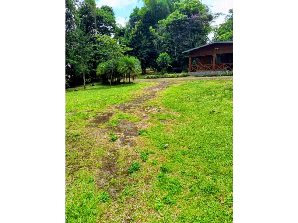 Se vende lindo hostal vintage de 3 ha en Coordillera. Negociable! - 5