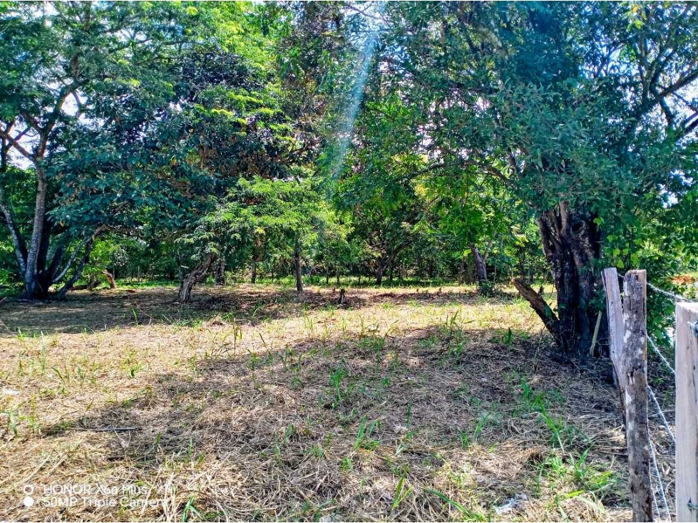 Se vende lindo terreno de 1065 mtrs en San Pablo Viejo, David - 1