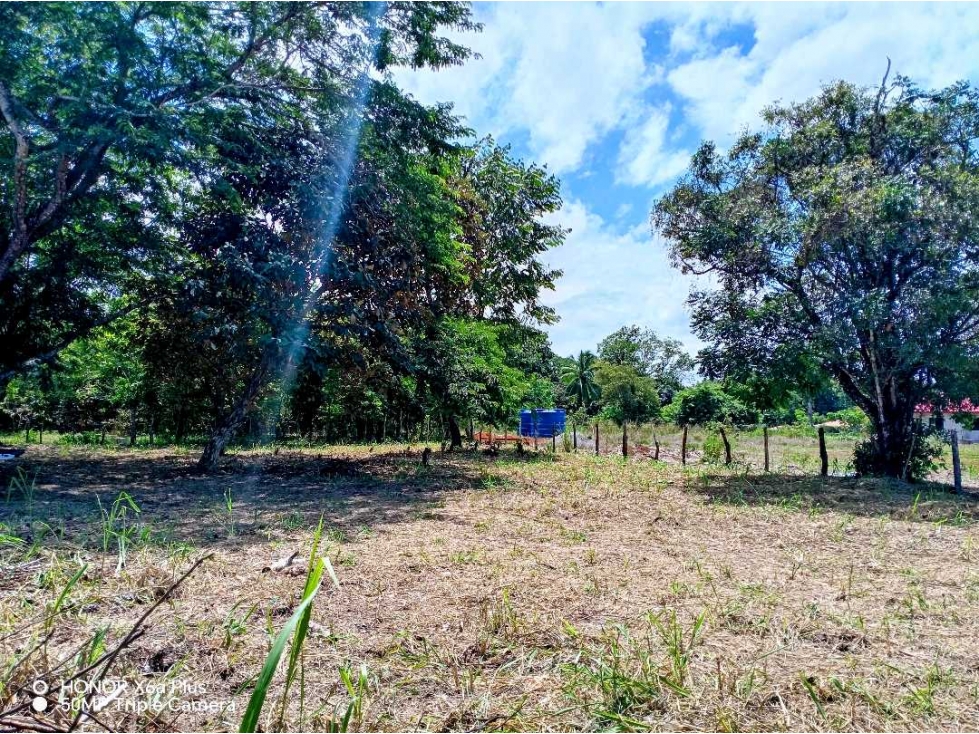 Se vende lindo terreno de 1065 mtrs en San Pablo Viejo, David - 2