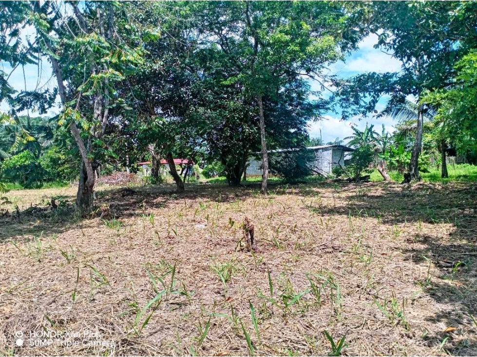 Se vende lindo terreno de 1065 mtrs en San Pablo Viejo, David - 3