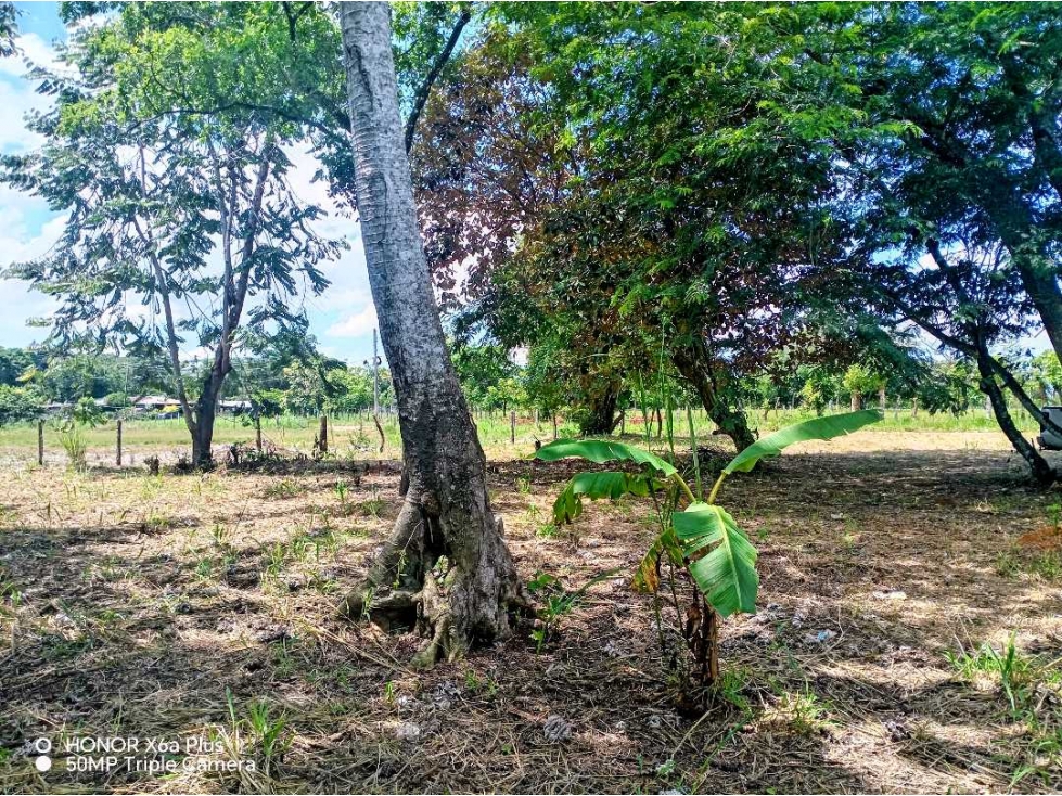 Se vende lindo terreno de 1065 mtrs en San Pablo Viejo, David - 4