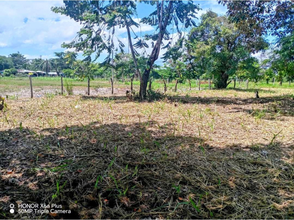 Se vende lindo terreno de 1065 mtrs en San Pablo Viejo, David - 5