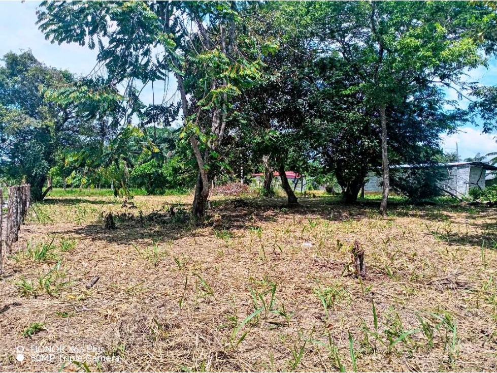 Se vende lindo terreno de 1065 mtrs en San Pablo Viejo, David - 6