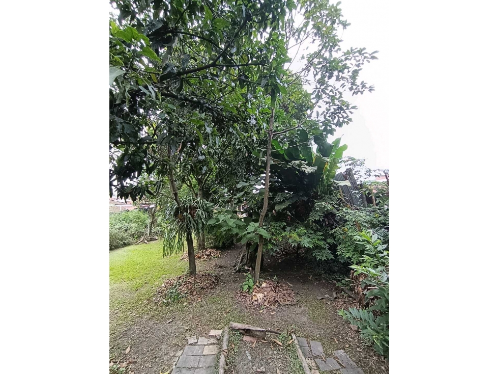 SE VENDE LOTE 5/ BARRIO AMAIME — foto 6