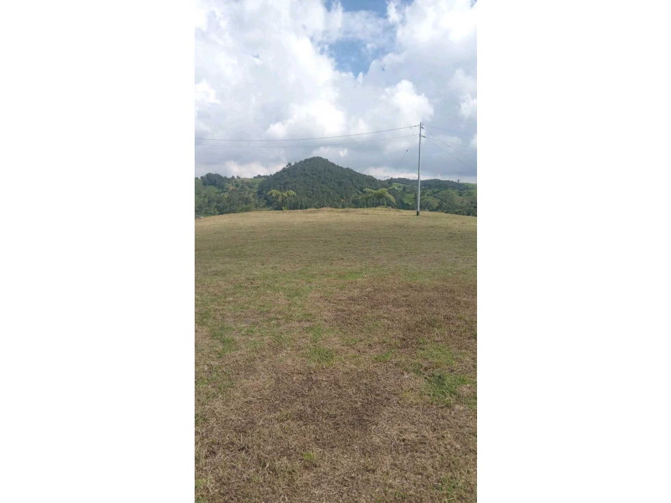 Se Vende Lote 9.500 Mts² En San Pedro De Los Milagros — foto 6
