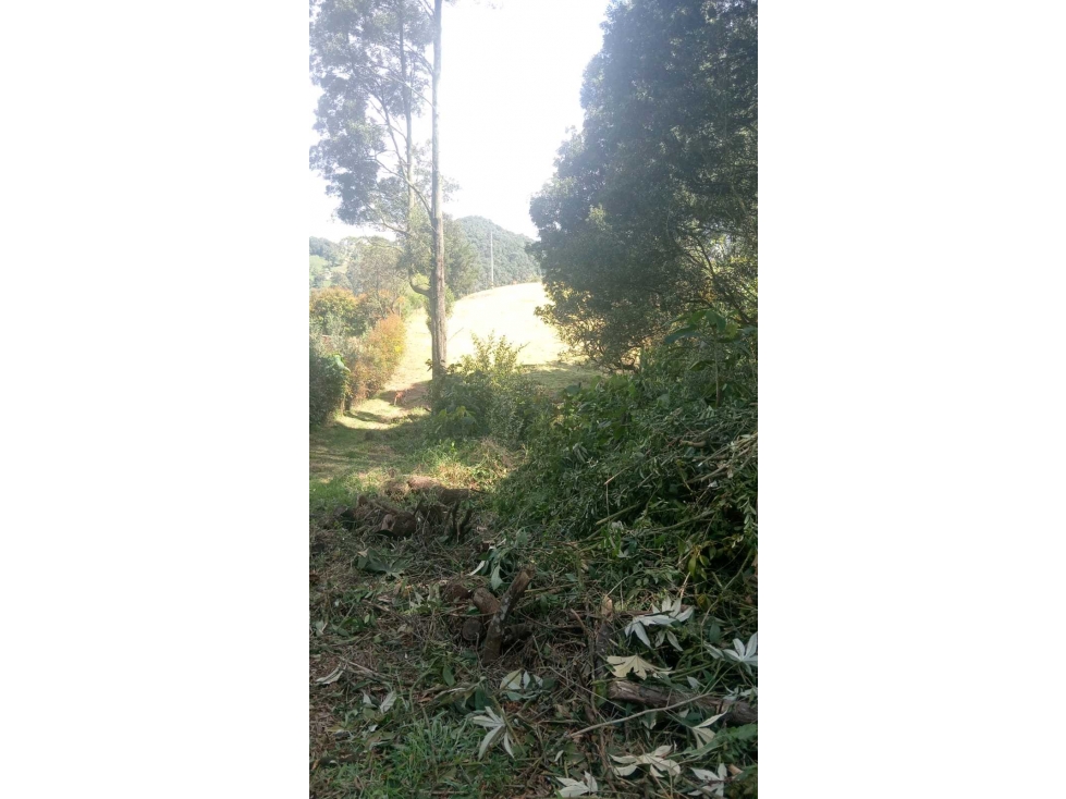 Se Vende Lote 9.500 Mts² En San Pedro De Los Milagros — foto 4