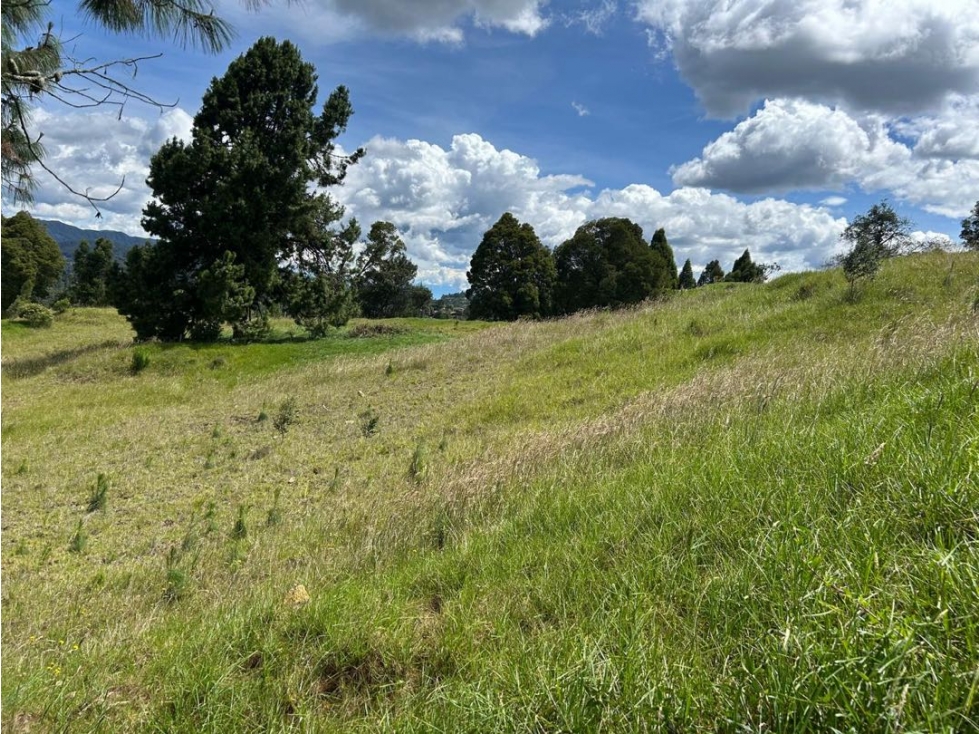 SE VENDE LOTE ALTO DE PALMAS SECTOR LA ACUARELA -ALTOS DE BRACAMONTE — foto 4