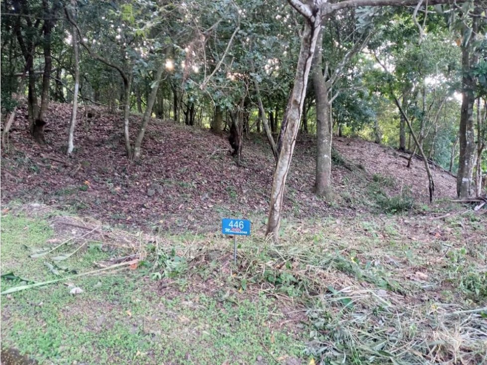 SE VENDE LOTE ALTOS DEL MARIA