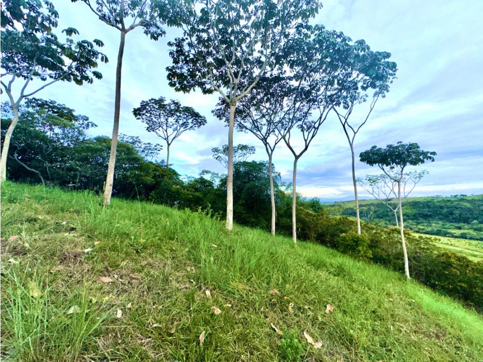 SE VENDE LOTE CALI SUR PANCE INMENSO PARA CASA DE LUJO
