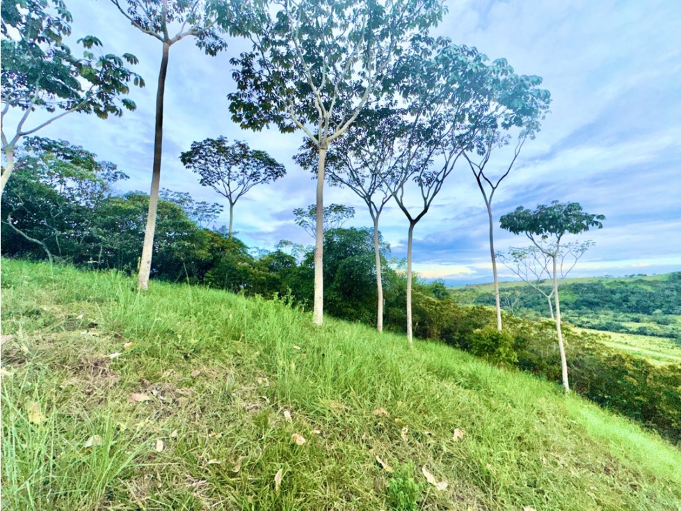 SE VENDE LOTE CALI SUR PANCE INMENSO PARA CASA DE LUJO — foto 2