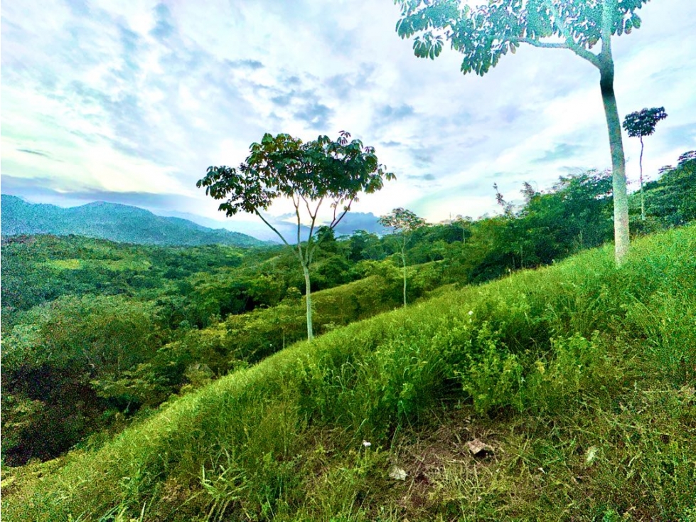 SE VENDE LOTE CALI SUR PANCE INMENSO PARA CASA DE LUJO — foto 4