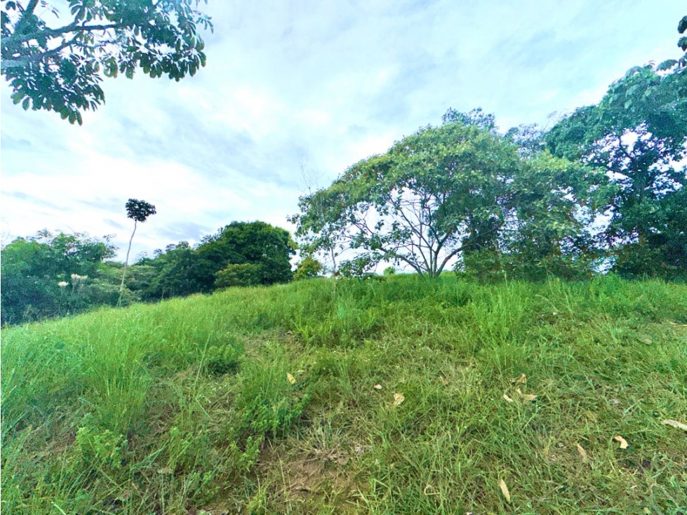SE VENDE LOTE CALI SUR PANCE INMENSO PARA CASA DE LUJO — foto 6