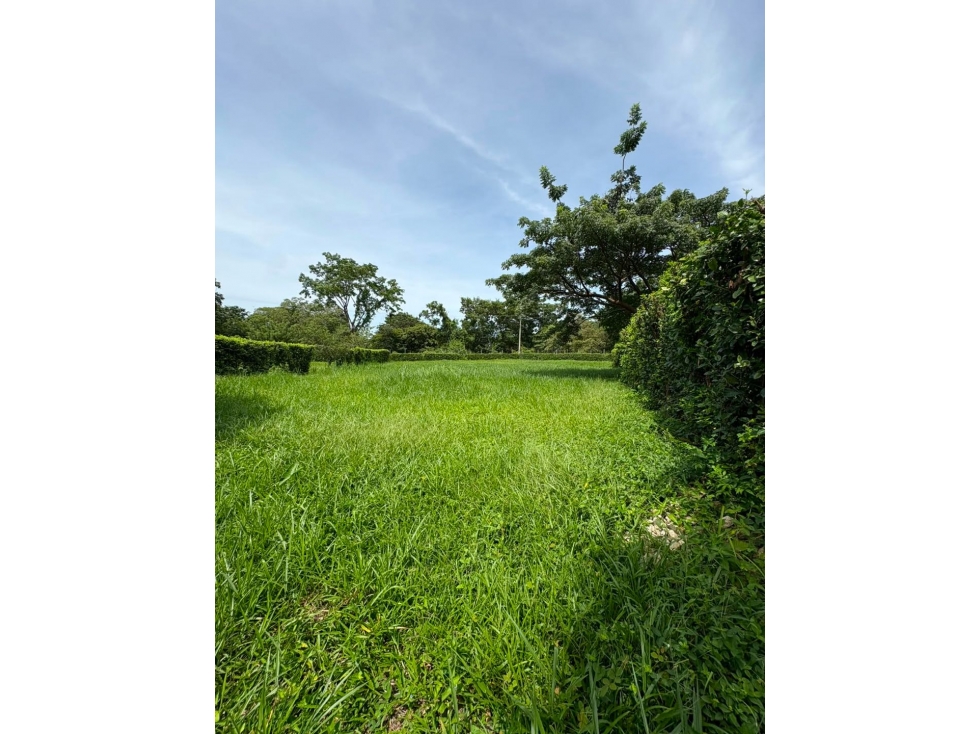SE VENDE LOTE CAMPESTRE CONDOMINIO HUMEDAL DEL MERECURE, YOPAL — foto 6