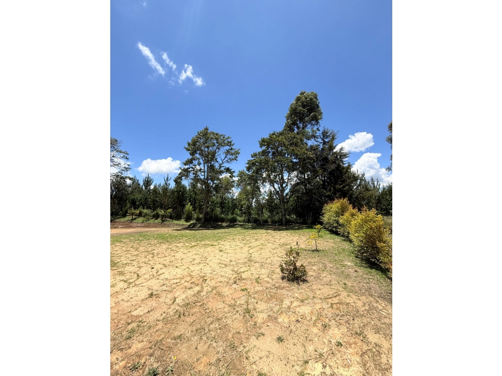Se vende lote campestre de 1.400 m2 en Altogrande, El Carmen — foto 4