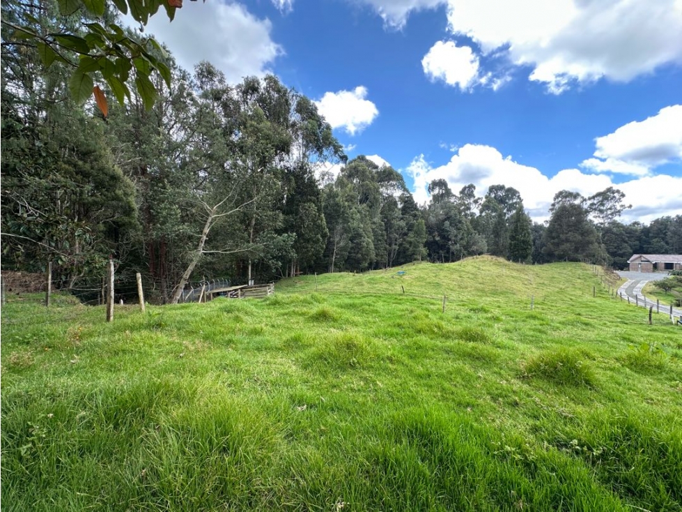 SE VENDE LOTE CAMPESTRE EN EL ALTO DE LAS PALMAS.