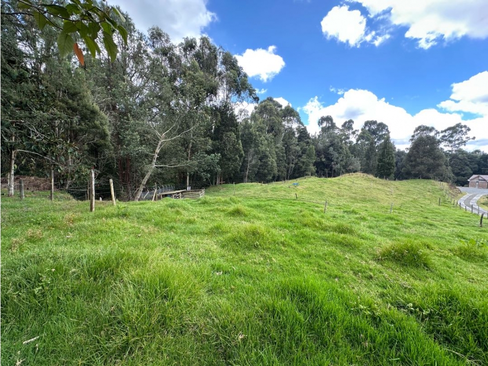 SE VENDE LOTE CAMPESTRE EN EL ALTO DE LAS PALMAS. — foto 2