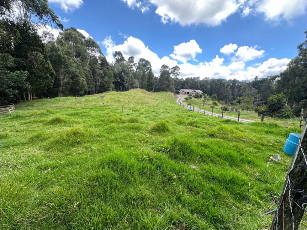 SE VENDE LOTE CAMPESTRE EN EL ALTO DE LAS PALMAS. — foto 3
