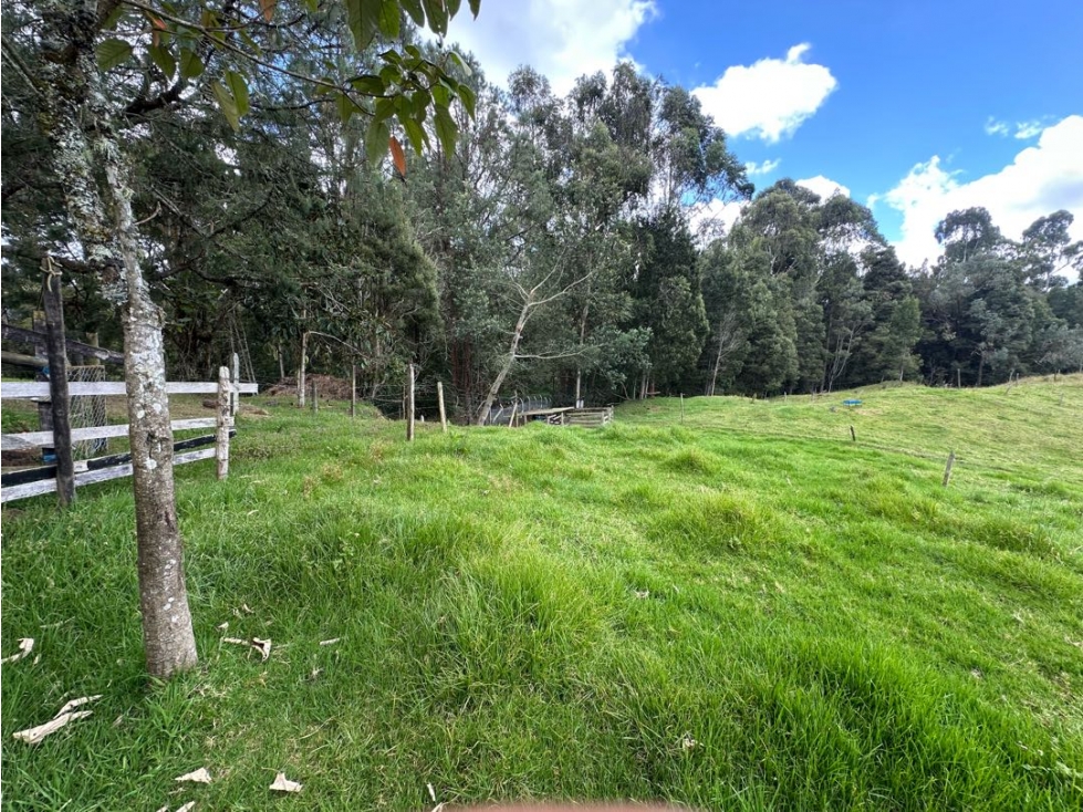 SE VENDE LOTE CAMPESTRE EN EL ALTO DE LAS PALMAS. — foto 4