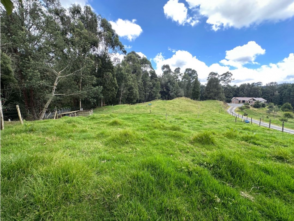 SE VENDE LOTE CAMPESTRE EN EL ALTO DE LAS PALMAS. — foto 5