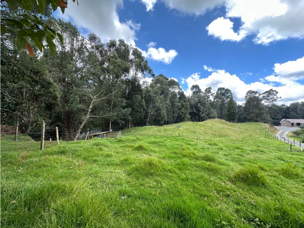 SE VENDE LOTE CAMPESTRE EN EL ALTO DE LAS PALMAS. — foto 6