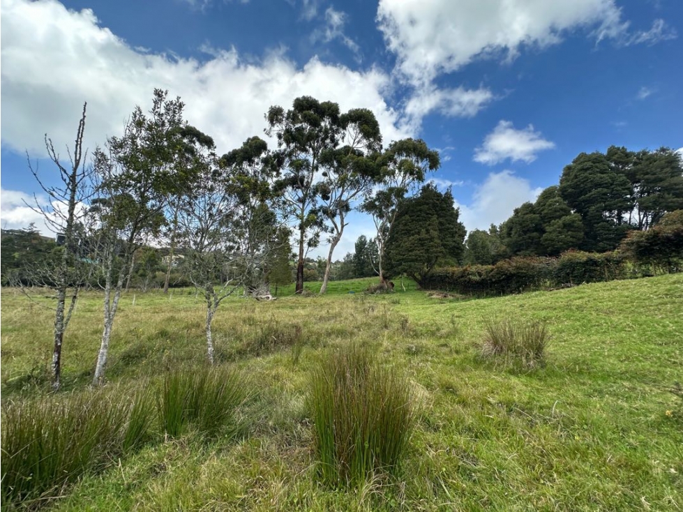 SE VENDE LOTE CAMPESTRE EN EL ALTO DE LAS PALMAS. ENVIGADO.