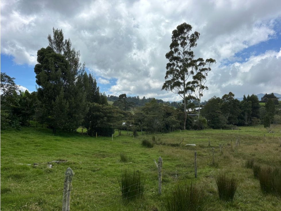 SE VENDE LOTE CAMPESTRE EN EL ALTO DE LAS PALMAS. ENVIGADO. — foto 3