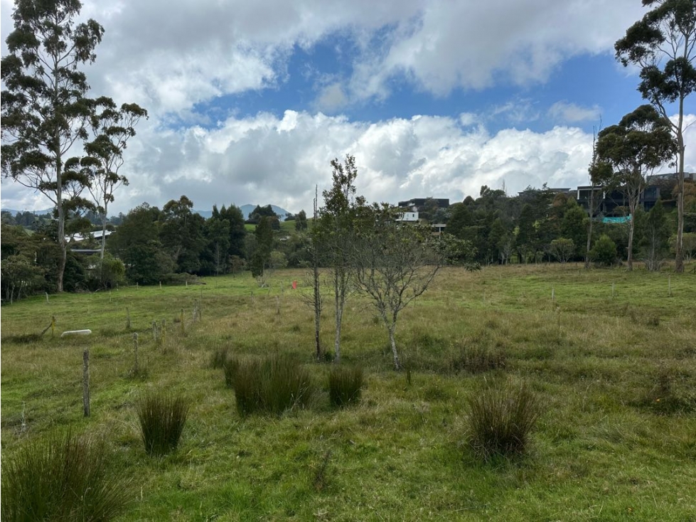 SE VENDE LOTE CAMPESTRE EN EL ALTO DE LAS PALMAS. ENVIGADO. — foto 4