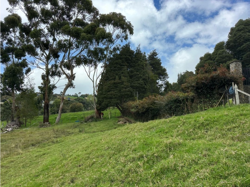 SE VENDE LOTE CAMPESTRE EN EL ALTO DE LAS PALMAS. ENVIGADO. — foto 5
