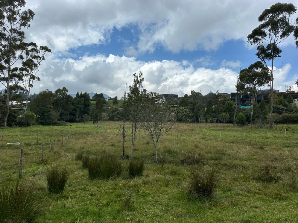 SE VENDE LOTE CAMPESTRE EN EL ALTO DE LAS PALMAS. ENVIGADO. — foto 6