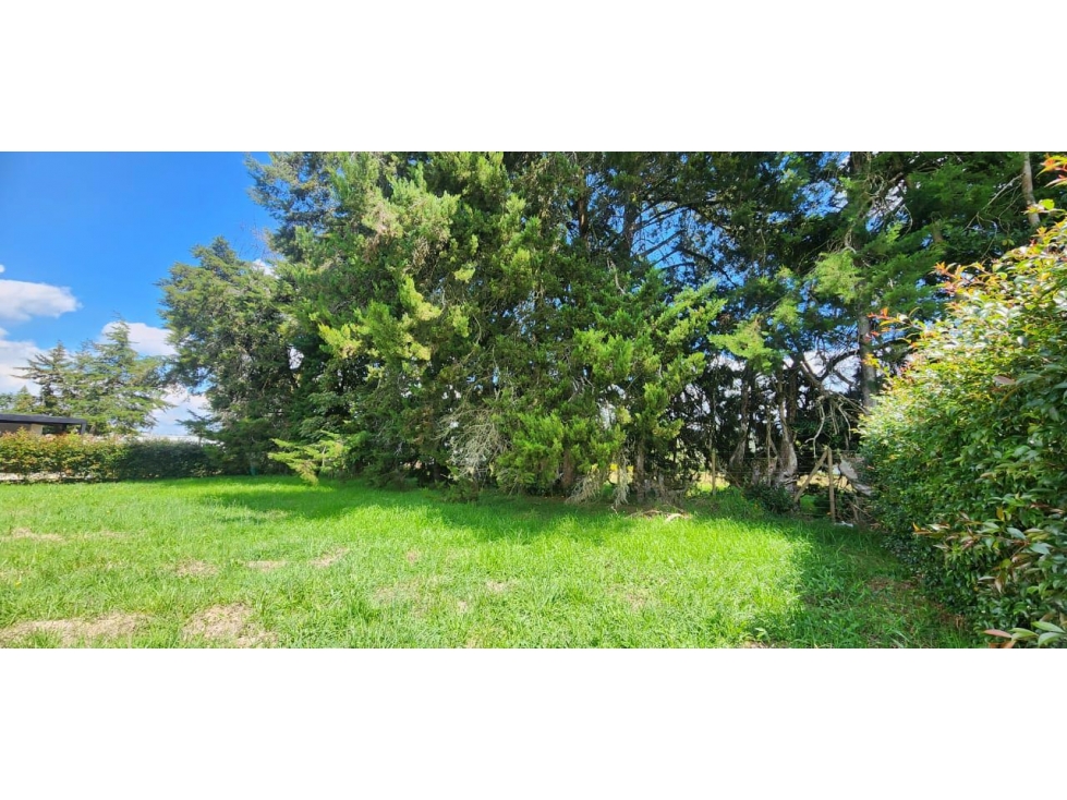 SE VENDE LOTE CAMPESTRE EN LA CEJA CONDOMINIO ALCALA [NATYZU] — foto 6