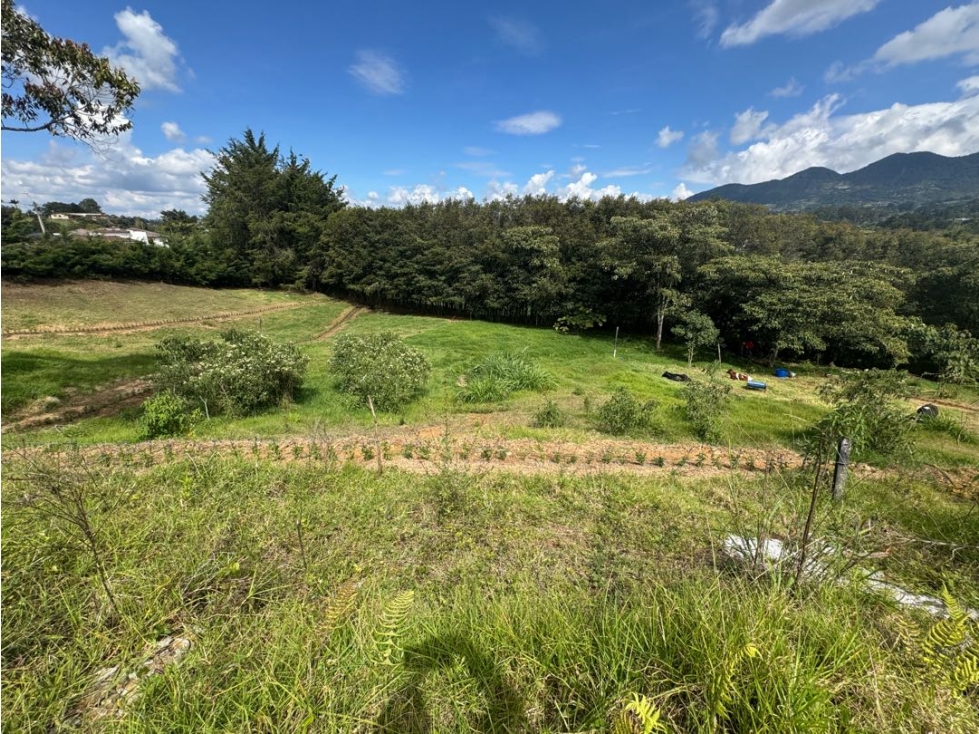 SE VENDE LOTE CAMPESTRE EN LA CEJA EN PARCELACIÓN AIRE VERDE — foto 3