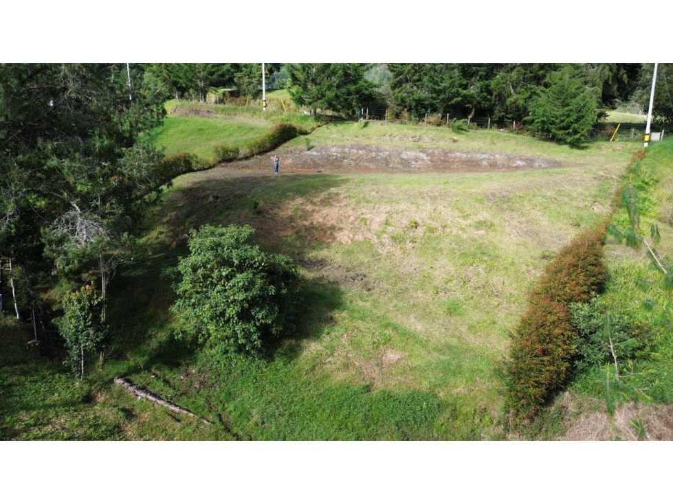 SE VENDE LOTE CAMPESTRE EN LA CEJA PRECIO OPORTUNIDAD $360 millones