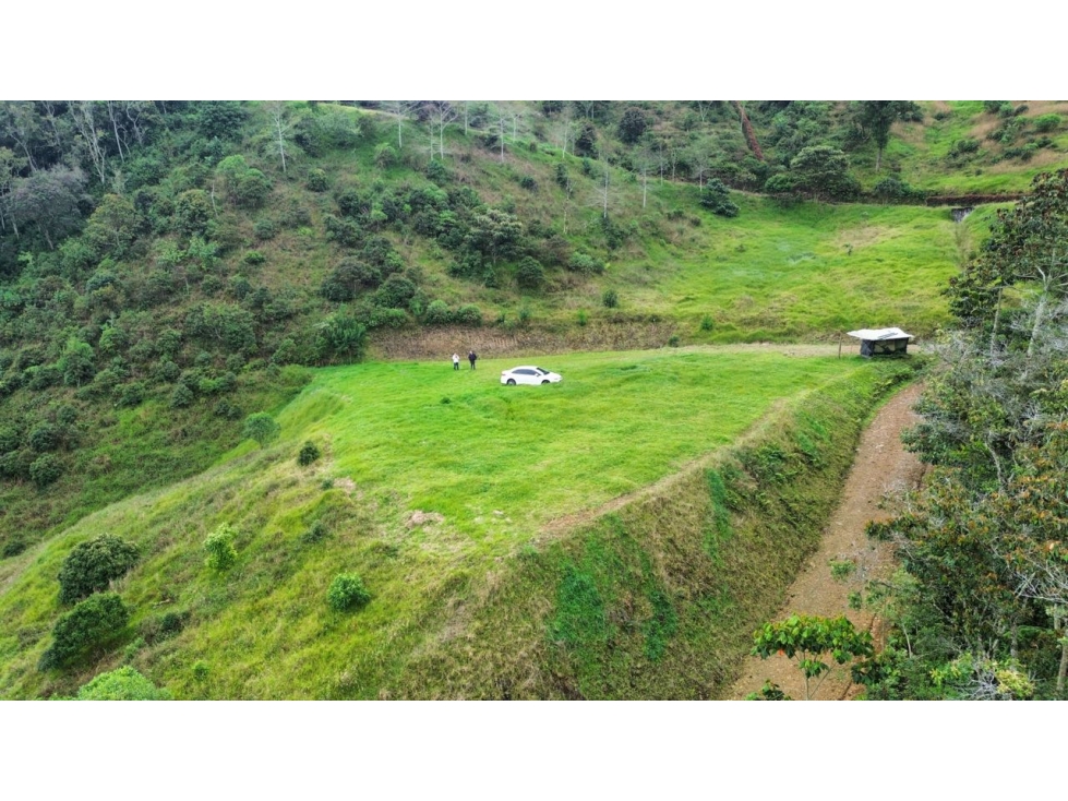 SE VENDE LOTE CAMPESTRE EN LA CEJA EXCELENTE VISTA Y PRIVACIDAD (CMP) — foto 2