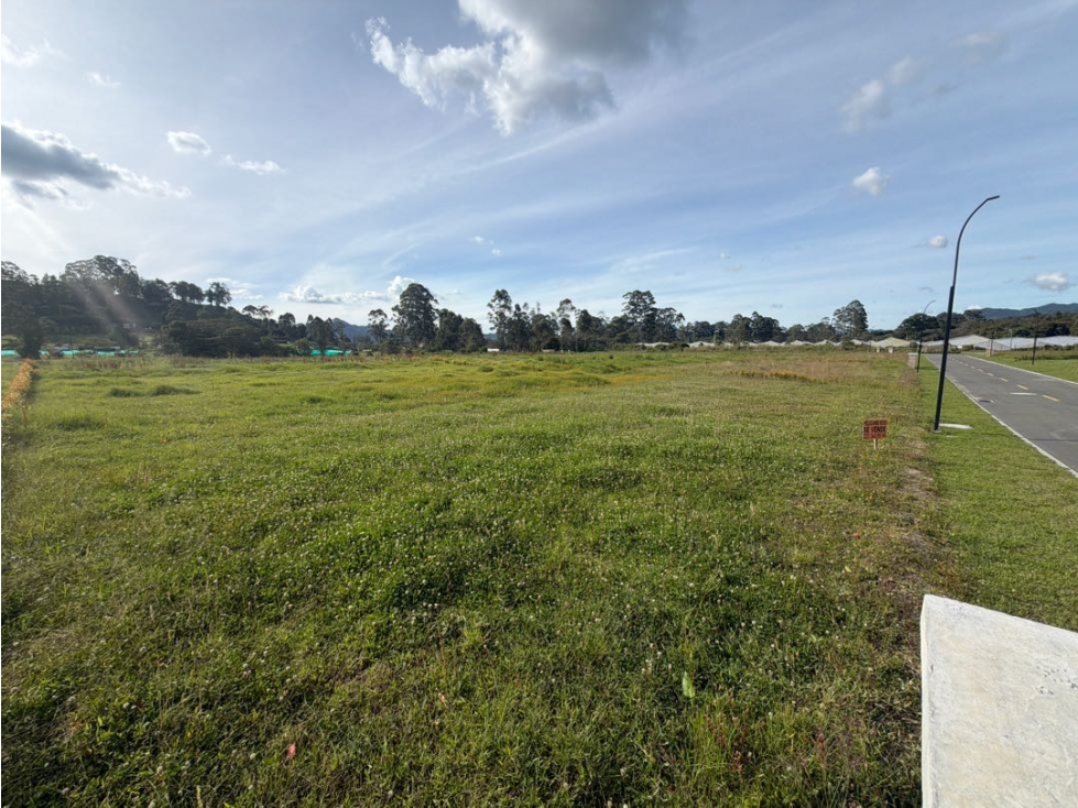 SE VENDE LOTE CAMPESTRE EN LA CEJA CONDOMINIO CATALUÑA PLANO ÁREA 1516