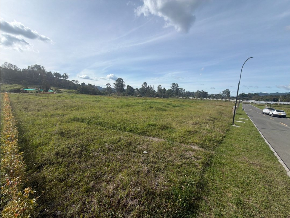 SE VENDE LOTE CAMPESTRE EN LA CEJA CONDOMINIO CATALUÑA PLANO ÁREA 1516 — foto 4