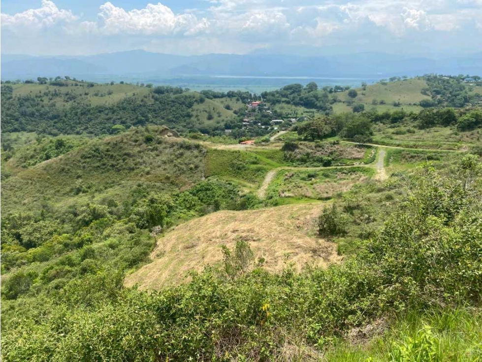 SE VENDE LOTE CAMPESTRE EN MIRADOR DE LA COLINA A 10 MINUTOS DE BUGA - 3
