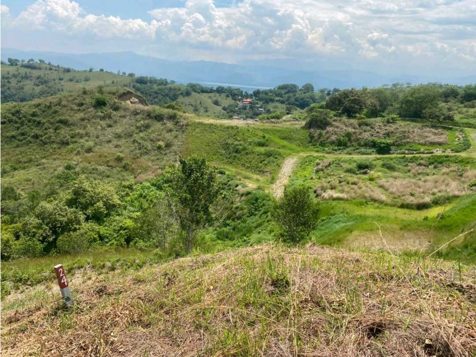 SE VENDE LOTE CAMPESTRE EN MIRADOR DE LA COLINA A 10 MINUTOS DE BUGA - 5