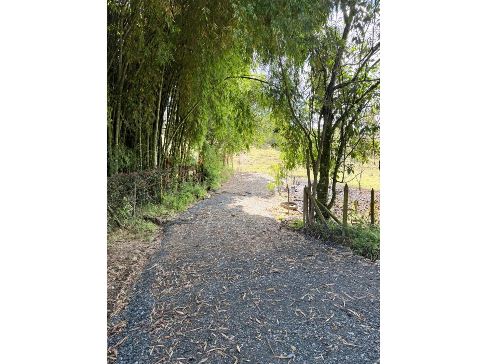 Se vende lote campestre de 3.400 m2 en condominio, El Carmen — foto 5
