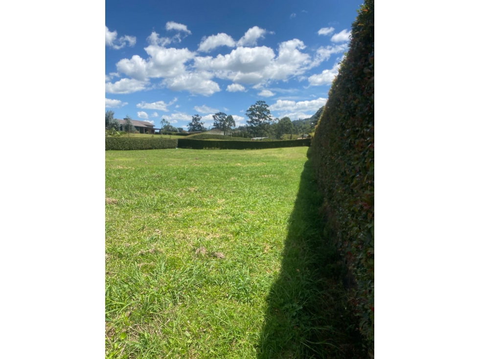 ¡GANGA!.. LOTE CAMPESTRE PALMAS MEDELLIN — foto 3