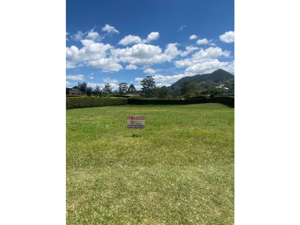 ¡GANGA!.. LOTE CAMPESTRE PALMAS MEDELLIN — foto 4
