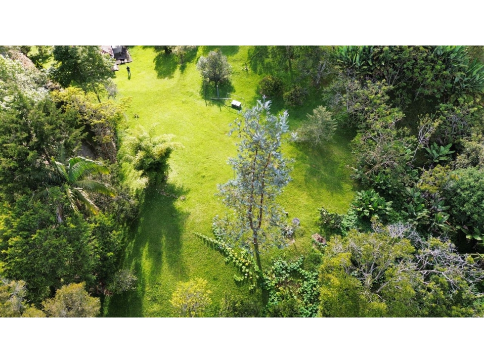 SE VENDE LOTE CAMPESTRE INDEPENDIENTE EN LA CEJA, FINCA+PESEBRERAS