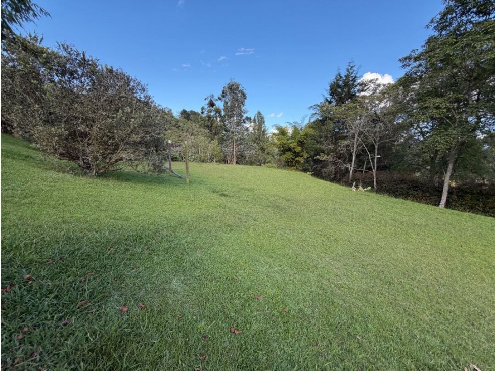 SE VENDE LOTE CAMPESTRE INDEPENDIENTE EN LA CEJA, FINCA+PESEBRERAS — foto 2