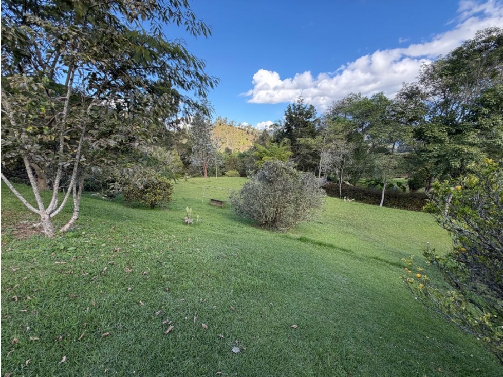 SE VENDE LOTE CAMPESTRE INDEPENDIENTE EN LA CEJA, FINCA+PESEBRERAS — foto 3