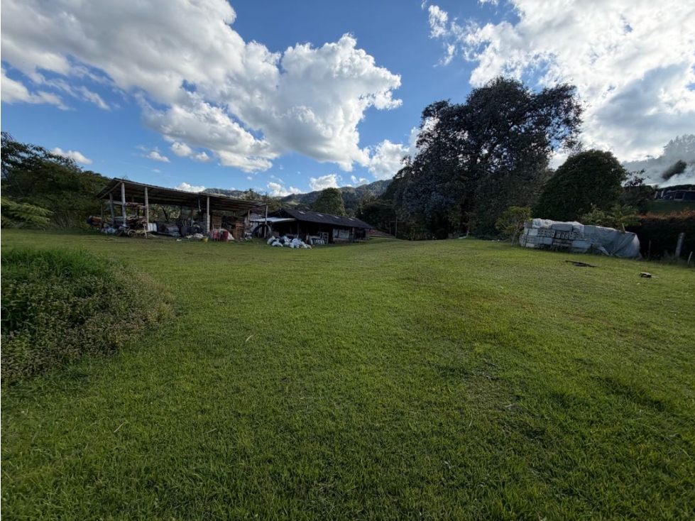 SE VENDE LOTE CAMPESTRE INDEPENDIENTE EN LA CEJA SEPUEDE PESEBRERAS — foto 2