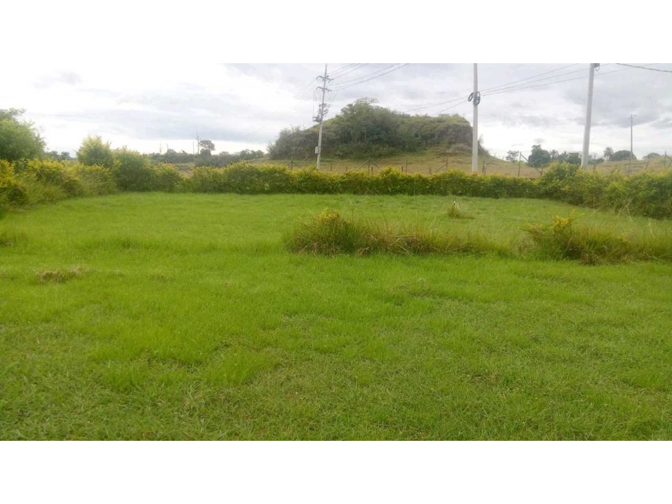 Se vende lote Carmen de apicala - 1